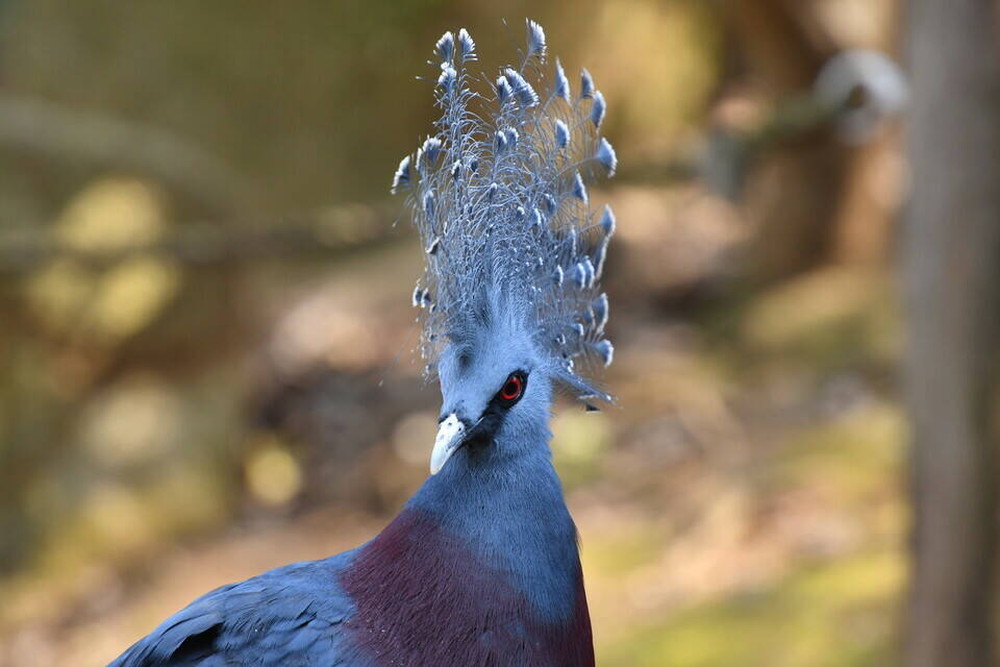 うれしいお知らせの写真