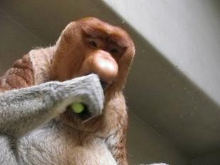 おーい、ビールまだ？