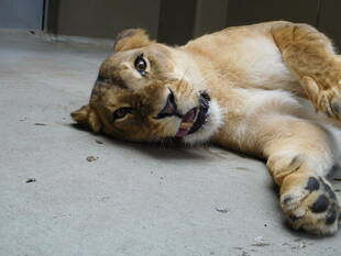 魅惑のかほり①