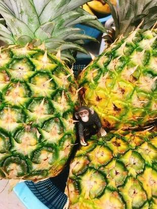 8月のお祭り～後編～