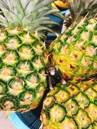 8月のお祭り～前編～