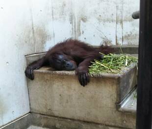 暑くなりましたが その2