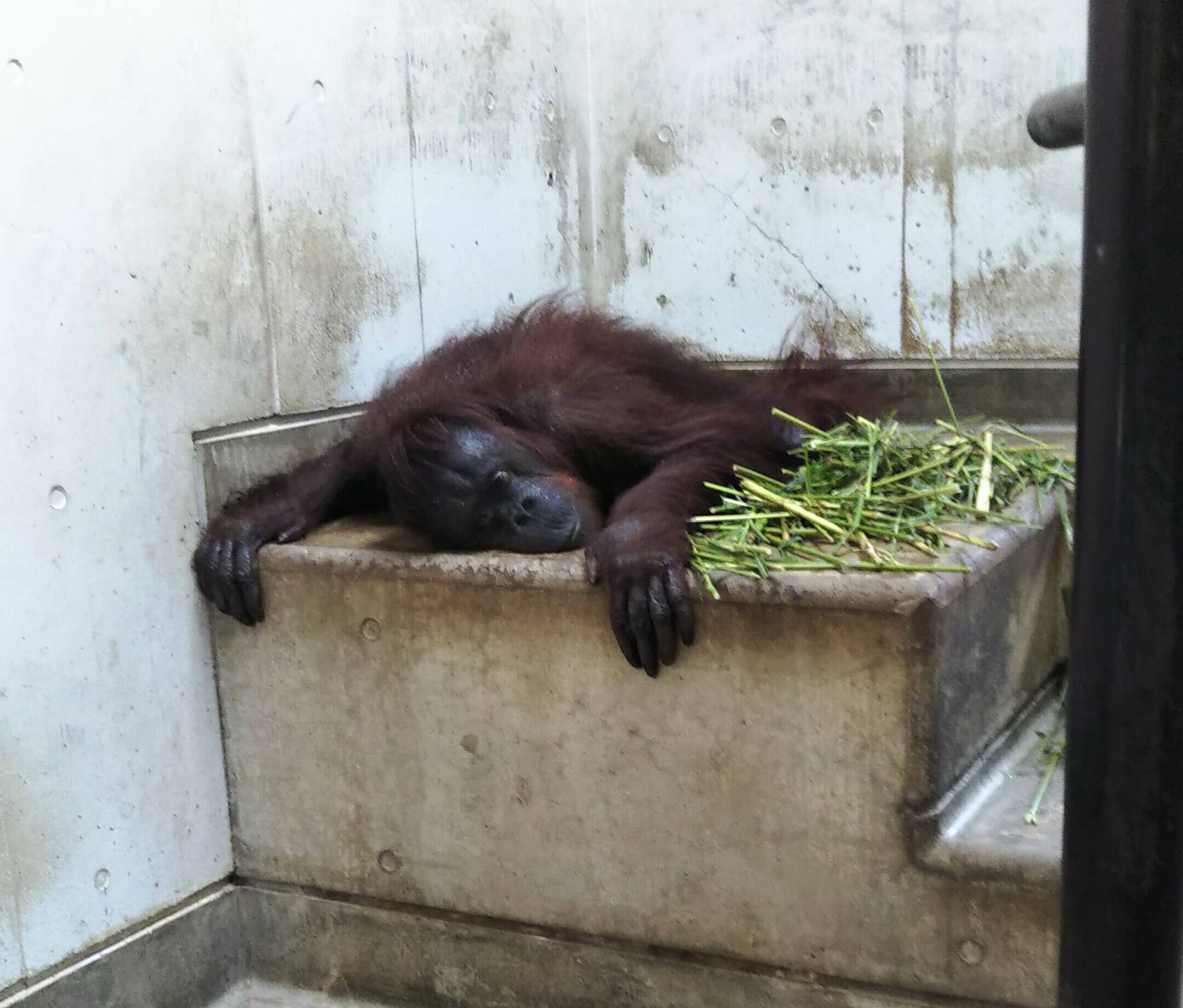 暑くなりましたが その2の写真