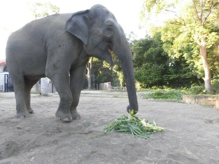 夏の特別メニューの写真