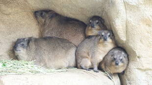 だんだん暑くなってきました...