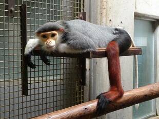 リラ～～ックス