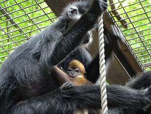 違いませんか？