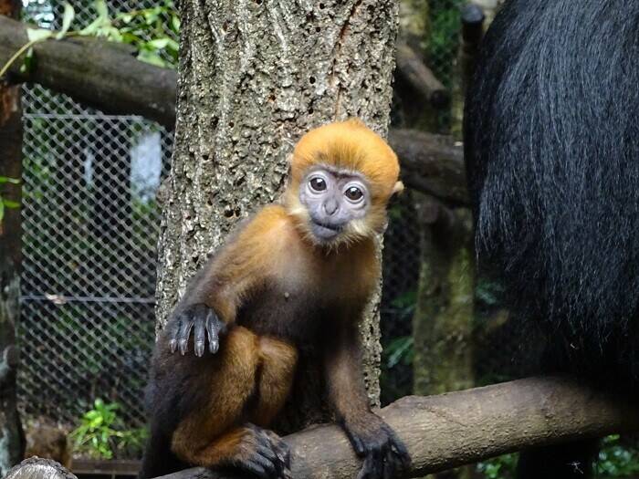 アマナツ、冒険中♪の写真