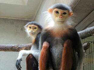 こちらもちょっと変わりました