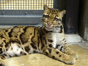 お久しぶりです('◇')ゞ