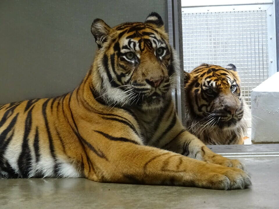 同居の様子 その②の写真
