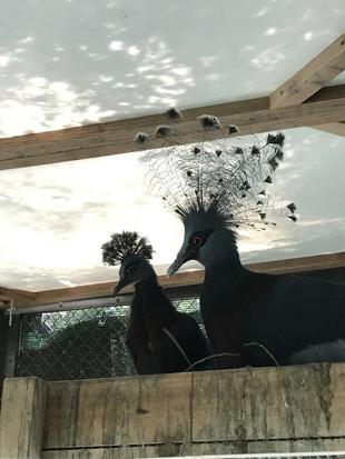 そんな急に！！！？！