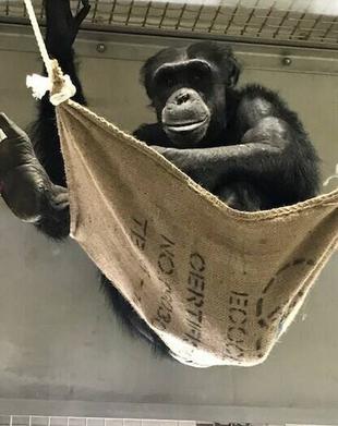 ハンモック！！