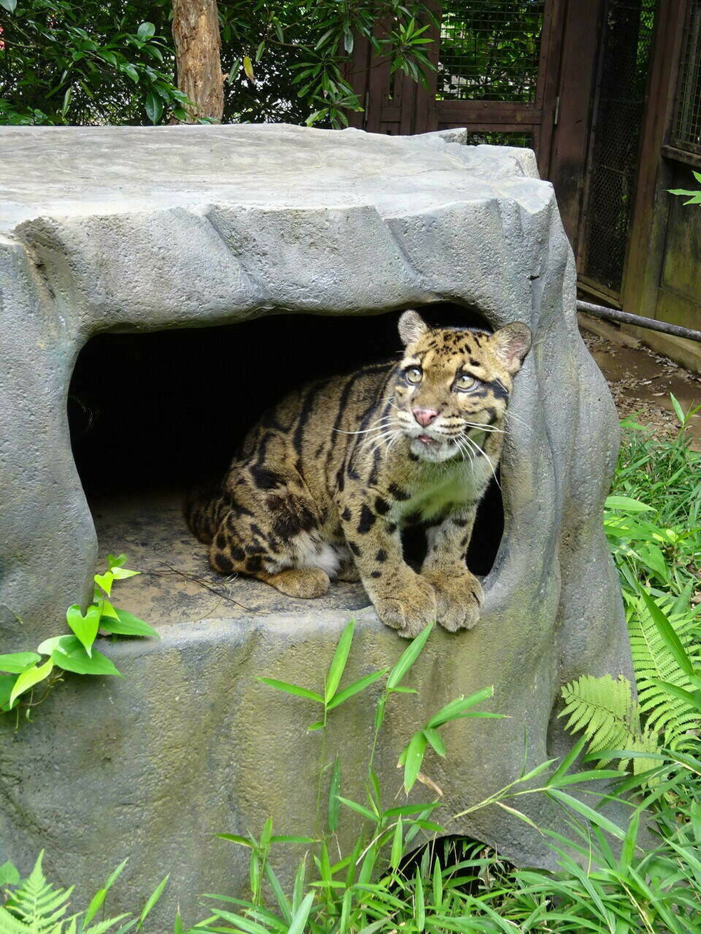 まだコンスタントには出ていませんが・・・の写真