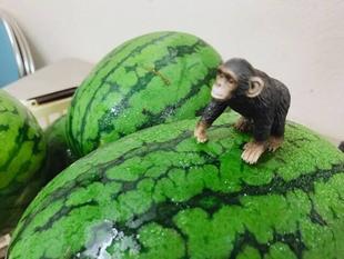 7月のお祭り～前編～