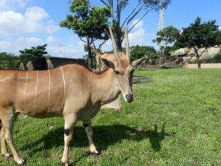 ある晴れた日の朝