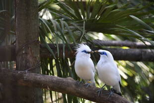 何気に推してます!