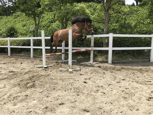 とっておきの特訓①