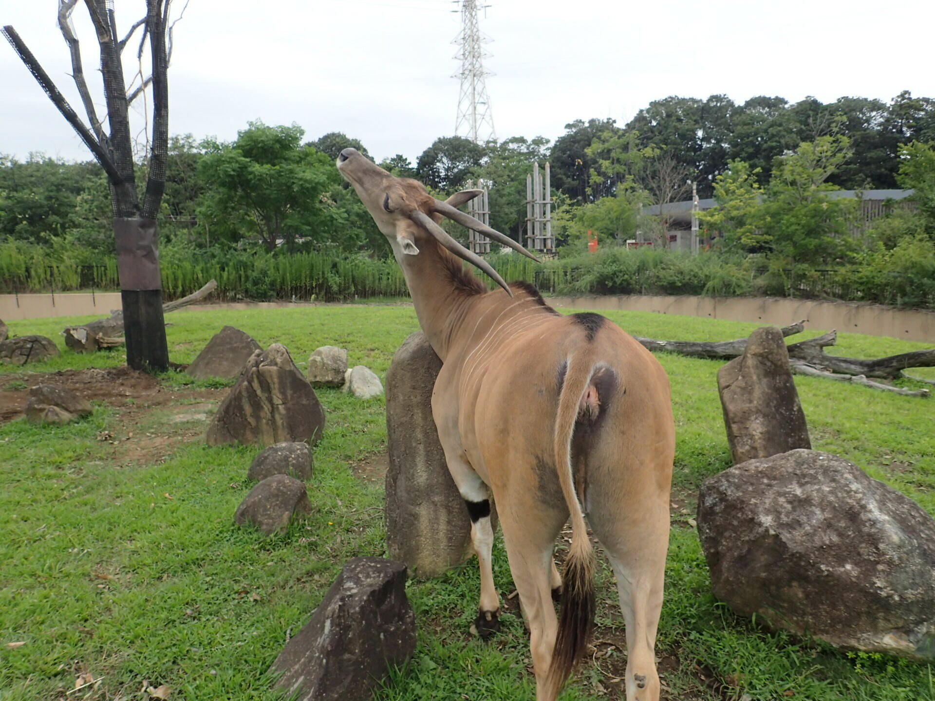 ある曇った日の昼過ぎの写真