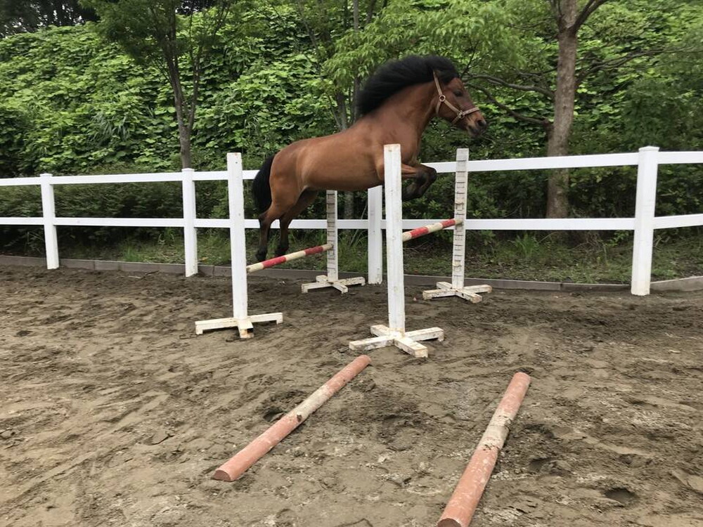 とっておきの特訓②の写真