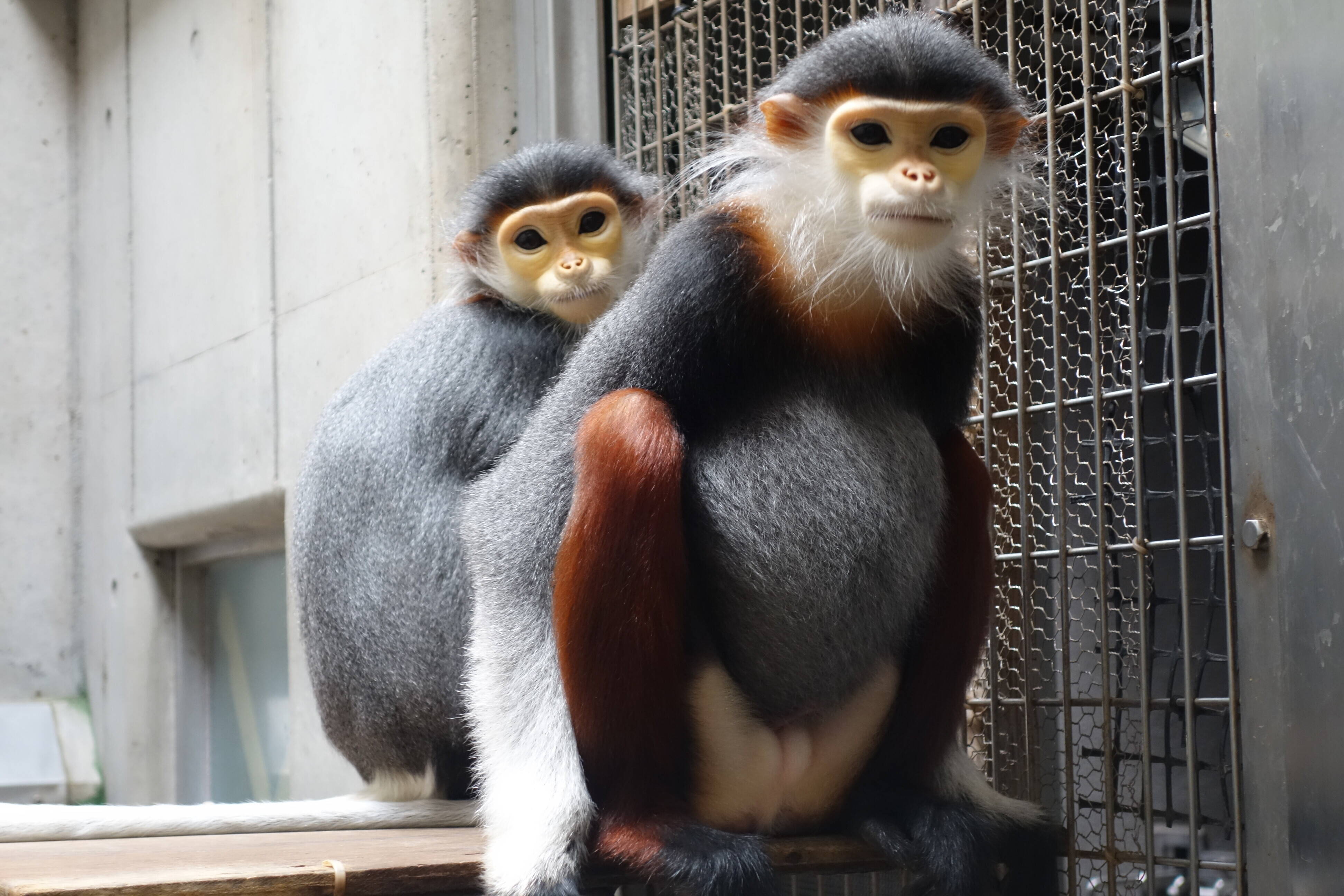 元気ですよ♪の写真