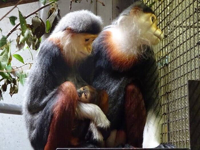 赤ちゃんが気になる~の写真