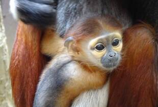 愛称が決まりました♪