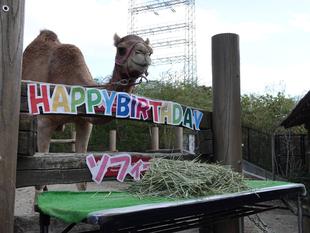 ソフィーの誕生日会