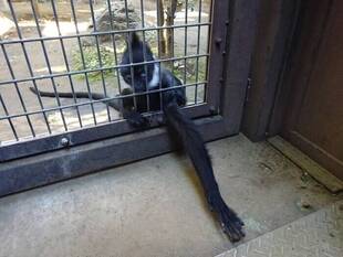 美味しいのはわかるけど・・・