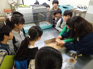 ズーラシアスクール第2回目「鳥のヒナを見つけたら・・・」