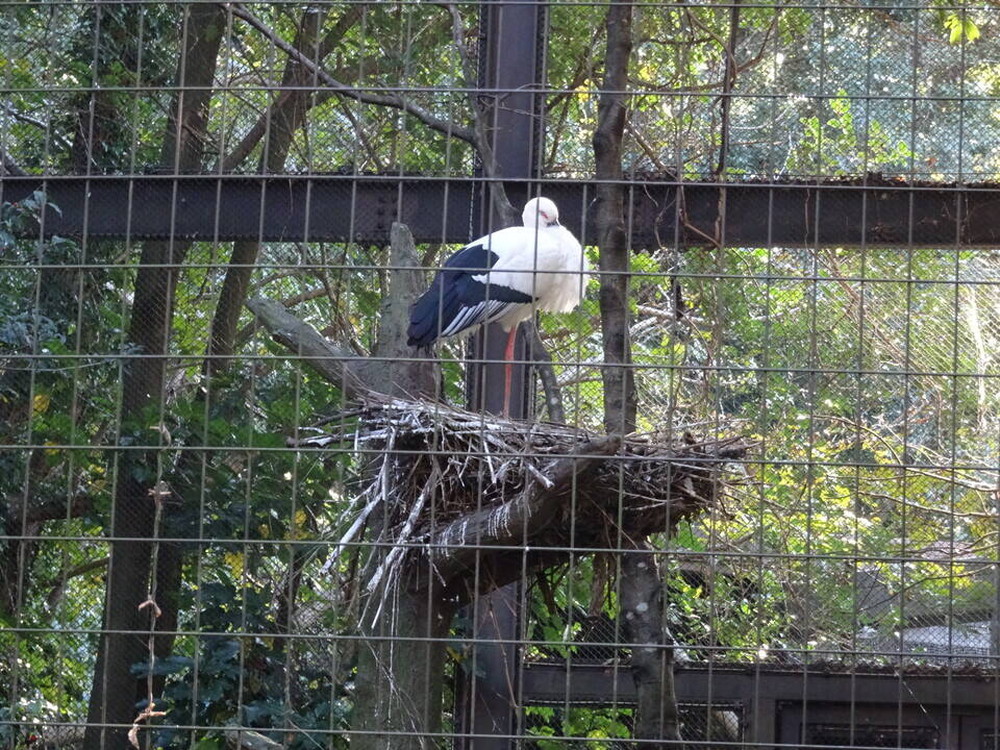 ズーラシアスクール第3回目「日本の動物たちの未来」の写真