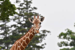 6歳になりました☆