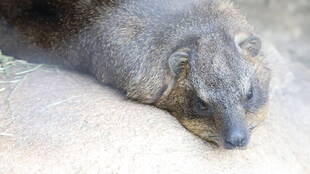 冬に向けての対策