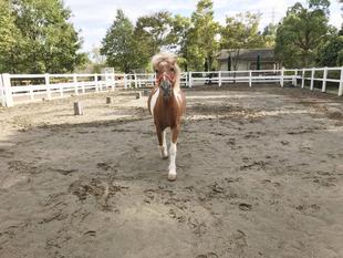 遠く離れていても・・・