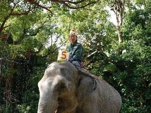 ハッピーバースデー☆シュリー