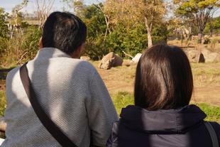 いい夫婦の日！定年後の平日動物園デート！（前編）