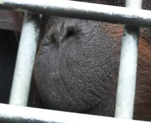 私は誰でしょう？