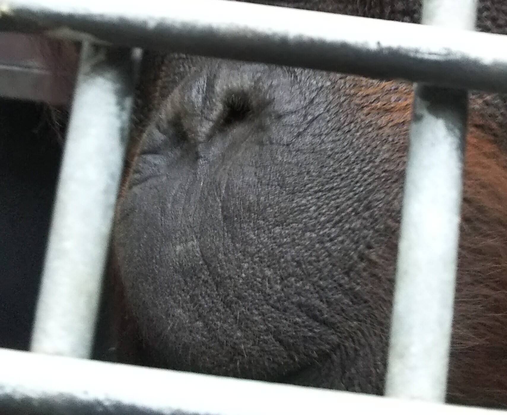私は誰でしょう?の写真
