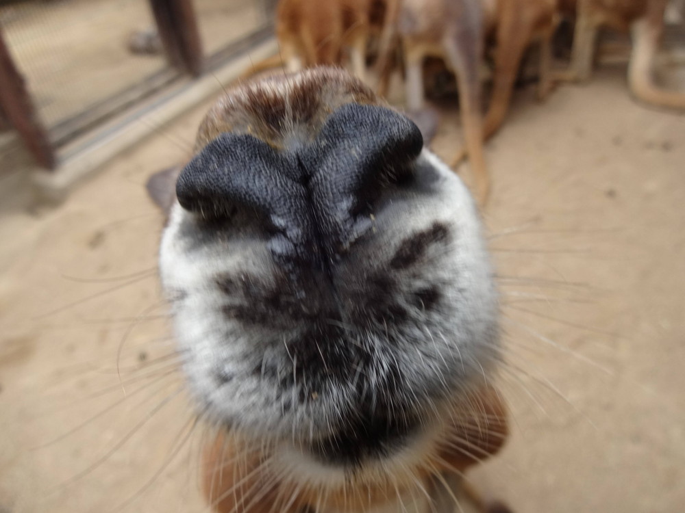 愛されてるイーサンへ。の写真