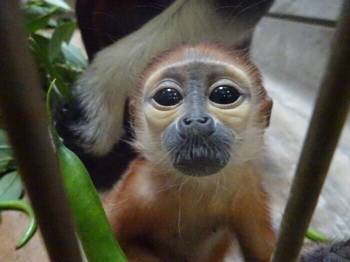 やっとお許しが出るようにの写真