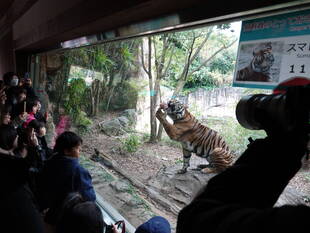 クリスマスも終わって・・・