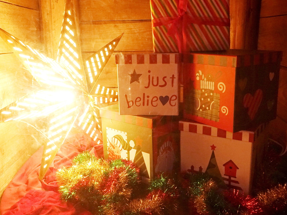 ズーラシアもクリスマス仕様に!!の写真