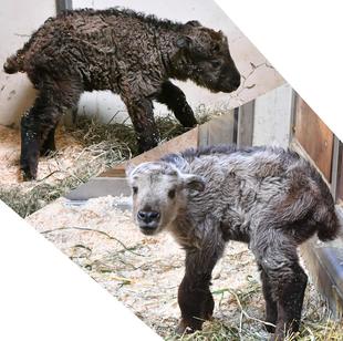 こんなに違います