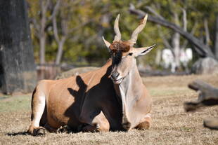 こちらも量っています