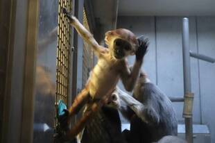 好奇心旺盛に♪