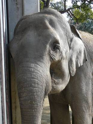 いつもとチョット違う作業
