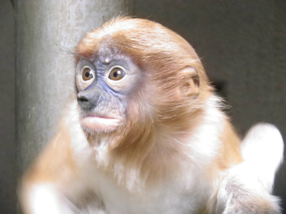 やめなさい!の写真