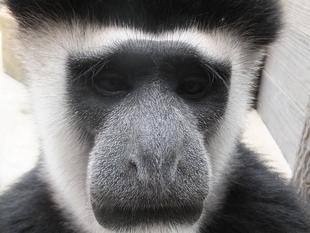 ～ティサとジュア～