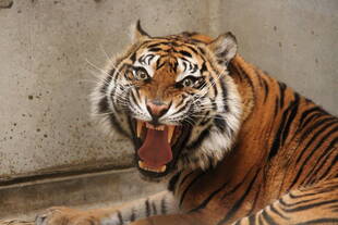 あっという間に2月に・・・(*_*)