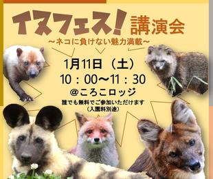 1月11日はイヌフェス!講演会